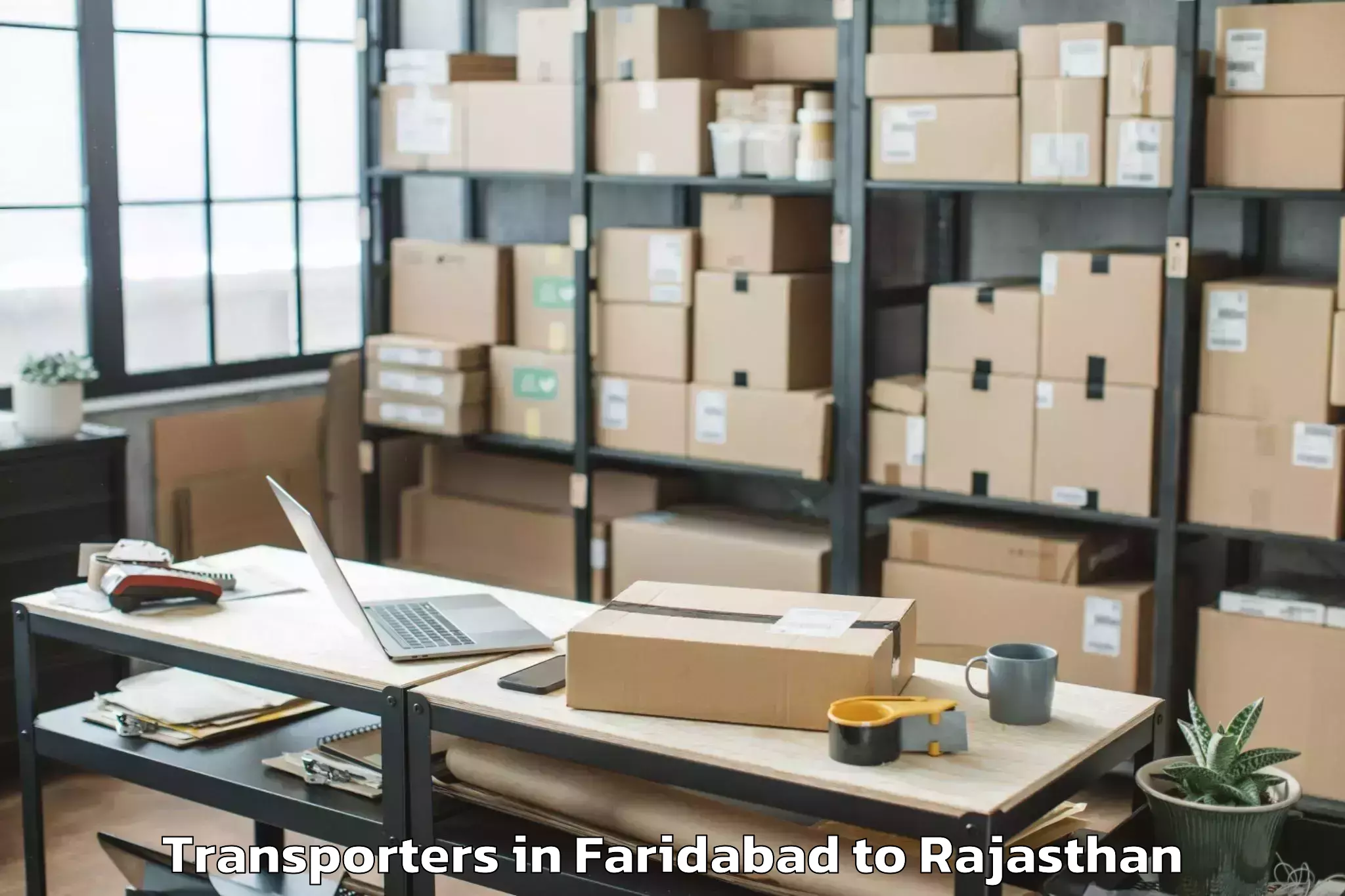 Professional Faridabad to Rajasthan University Of Health Transporters